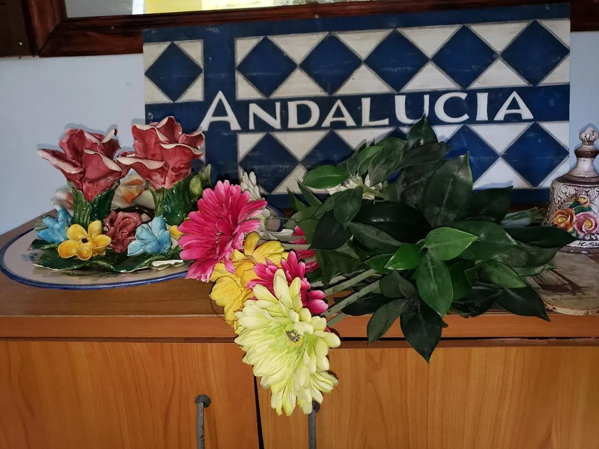 Andalucia Guest House San Juan