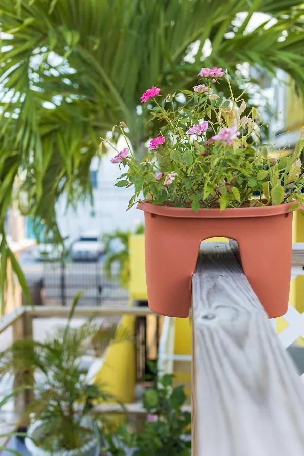 Andalucia Guest House San Juan